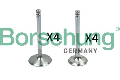 Valve Kit, intake/exhaust valve Borsehung B18148
