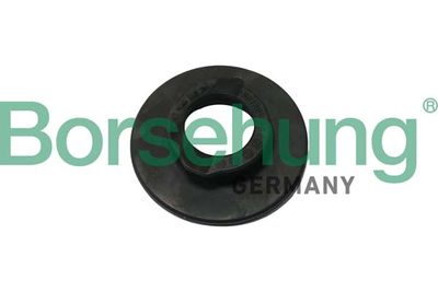 Suspension Strut Support Mount Borsehung B18185
