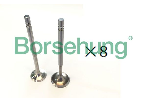 Borsehung B18189 Intake Valve