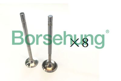Intake Valve Borsehung B18189