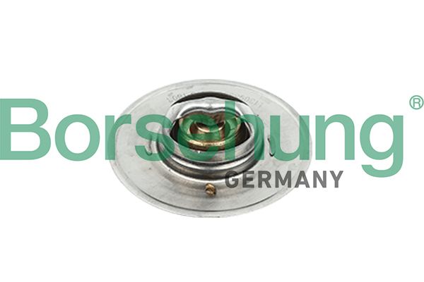 Borsehung B18247 Thermostat, coolant