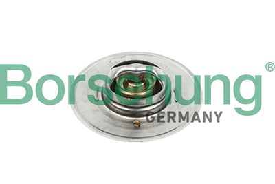 Thermostat, coolant Borsehung B18247