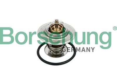 Thermostat, coolant Borsehung B18259