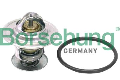 Thermostat, coolant Borsehung B18262