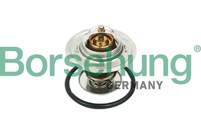 Thermostat, coolant Borsehung B18268