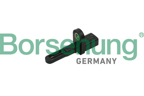 Borsehung B18282 Sensor, intake air temperature
