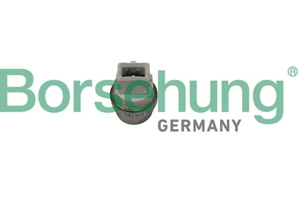 Borsehung B18288 Temperature Switch, radiator fan