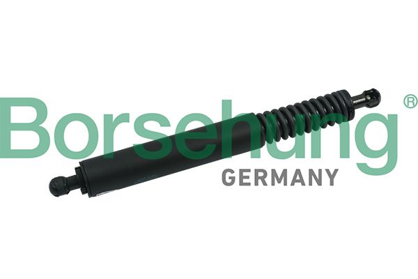 Borsehung B18456 Gas Spring, boot/cargo area