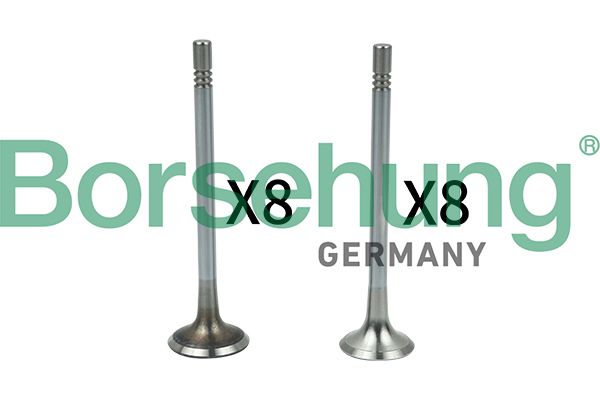 Borsehung B18628 Valve Kit, intake/exhaust valve