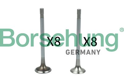 Valve Kit, intake/exhaust valve Borsehung B18628