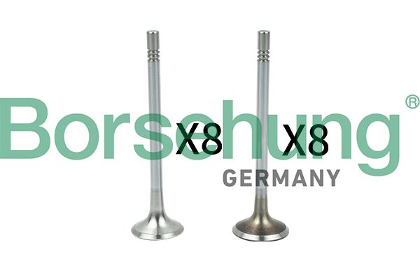 Borsehung B18629 Valve Kit, intake/exhaust valve