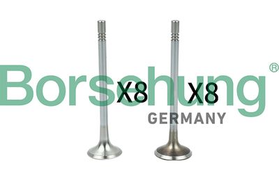 Valve Kit, intake/exhaust valve Borsehung B18629