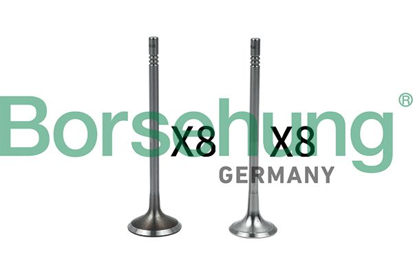 Borsehung B18633 Valve Kit, intake/exhaust valve
