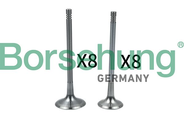 Borsehung B18634 Intake Valve