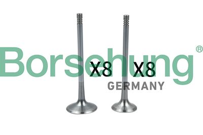 Intake Valve Borsehung B18637