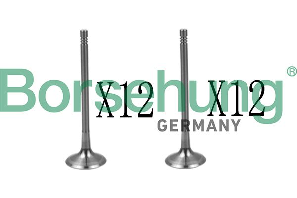 Borsehung B18639 Valve Kit, intake/exhaust valve