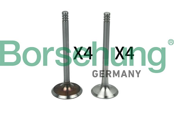 Borsehung B18641 Valve Kit, intake/exhaust valve