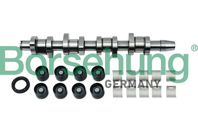 Camshaft Kit Borsehung B18664