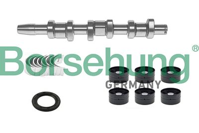 Camshaft Kit Borsehung B18665
