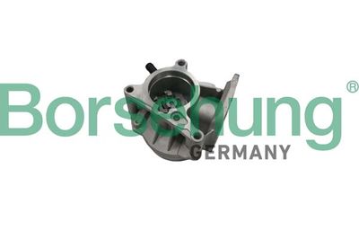 Vacuum Pump, braking system Borsehung B18666