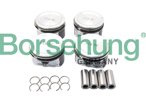 Borsehung B18670 Piston