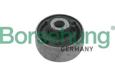 Mounting, control/trailing arm Borsehung B18718