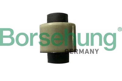 Mounting, control/trailing arm Borsehung B18722