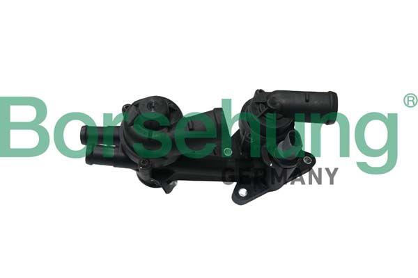 Borsehung B18723 Thermostat, coolant