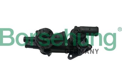 Thermostat, coolant Borsehung B18723