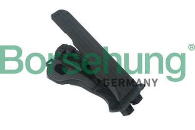 Accelerator Pedal Unit Borsehung B18725