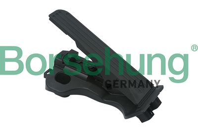 Accelerator Pedal Unit Borsehung B18726