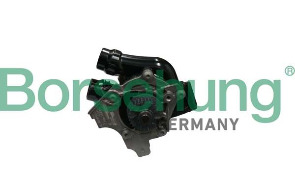 Borsehung B18736 Water Pump, engine cooling