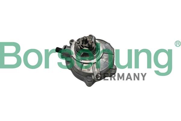 Borsehung B18773 Vacuum Pump, braking system