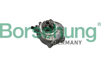 Vacuum Pump, braking system Borsehung B18773