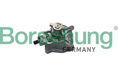Vacuum Pump, braking system Borsehung B18774