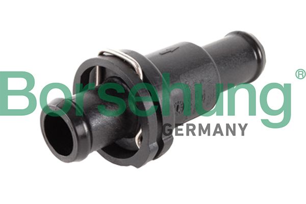 Borsehung B18776 Thermostat, coolant
