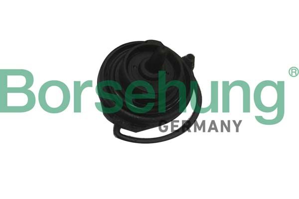 Borsehung B18783 Cap, fuel tank