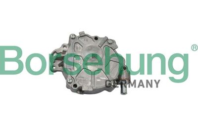 Vacuum Pump, braking system Borsehung B18800