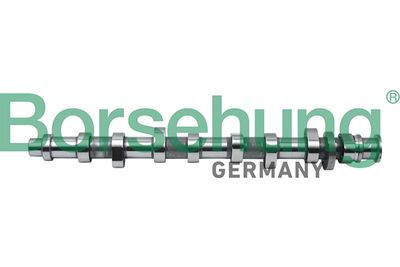 Camshaft Borsehung B18805
