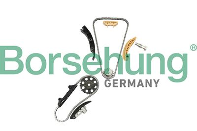 Timing Chain Kit Borsehung B18846