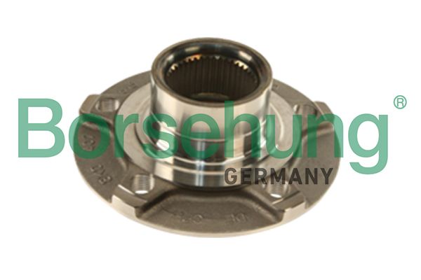 Borsehung B18957 Wheel Bearing Kit
