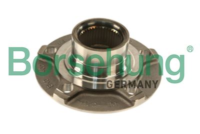 Wheel Bearing Kit Borsehung B18957