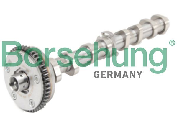 Borsehung B18979 Camshaft