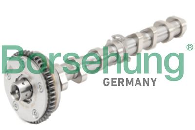 Camshaft Borsehung B18979