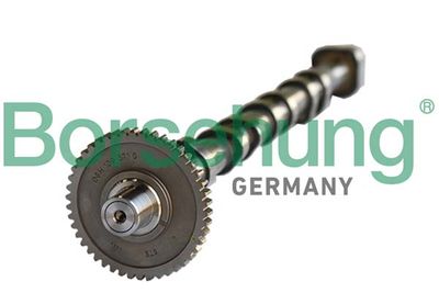 Camshaft Borsehung B18980