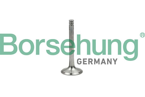 Borsehung B18997 Exhaust Valve