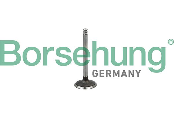Borsehung B18998 Intake Valve