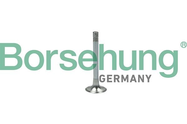Borsehung B18999 Exhaust Valve