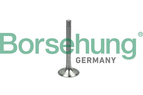 Borsehung B19000 Exhaust Valve