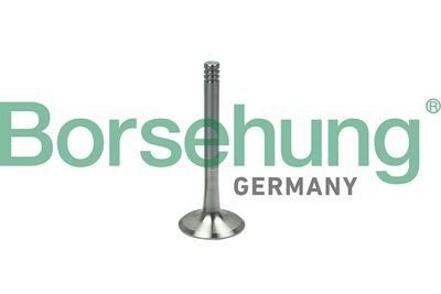 Exhaust Valve Borsehung B19000